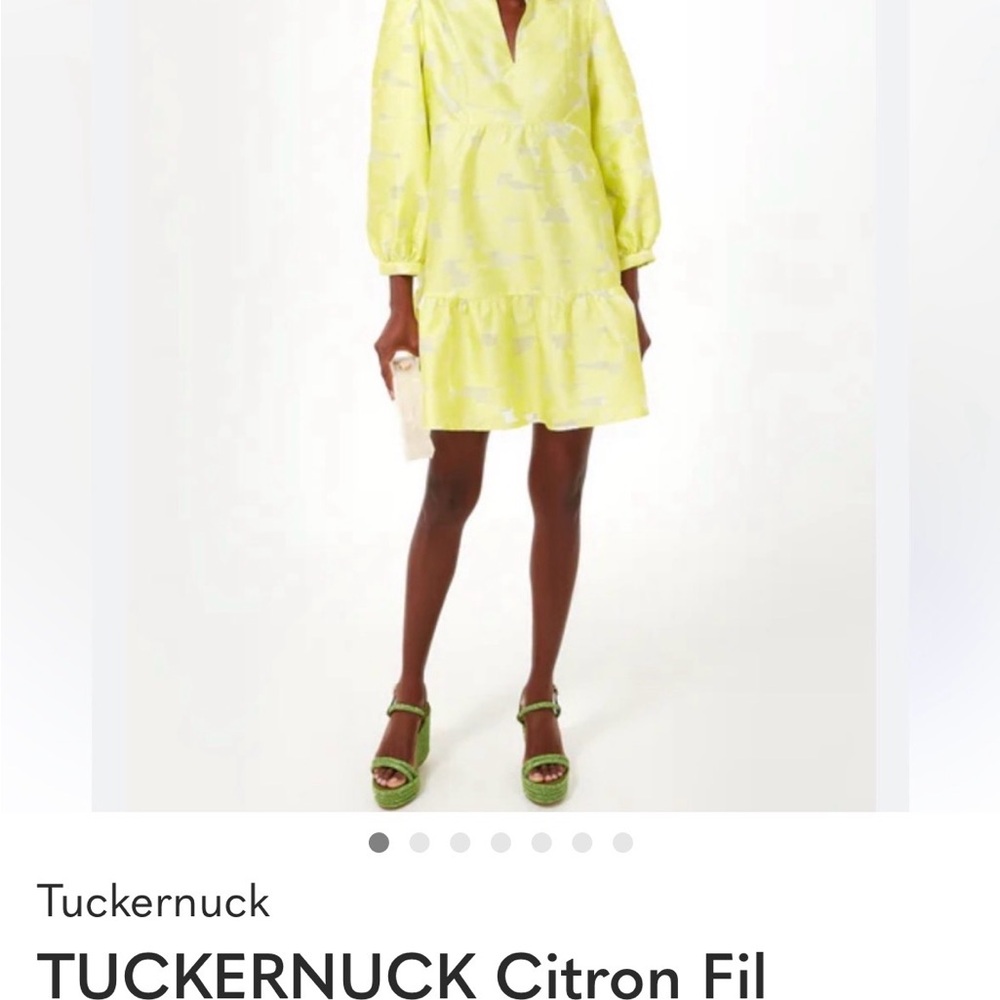 Tuckernuck Citron Fil Coupe Dress